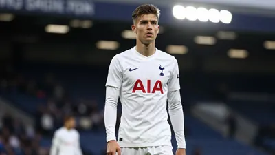 Sheffield Wednesday eye Spurs transfer to seal Dane Scarlett deal